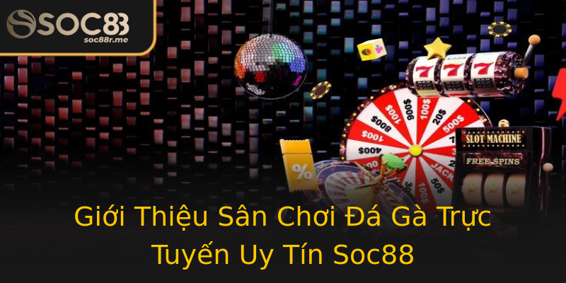 Giới Thiệu Sân Chơi Đá Gà Trực Tuyến Uy Tín Soc88 Giới Thiệu Sân Chơi Đá Gà Trực Tuyến Uy Tín Soc88