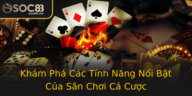 Khám Phá Các Tính Năng Nổi Bật Của Sân Chơi Cá Cược Khám Phá Các Tính Năng Nổi Bật Của Sân Chơi Cá Cược