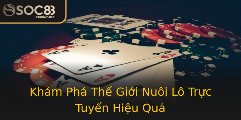 Khám Phá Thế Giới Nuôi Lô Trực Tuyến Hiệu Quả Khám Phá Thế Giới Nuôi Lô Trực Tuyến Hiệu Quả