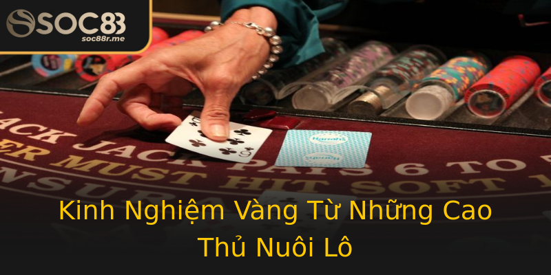Kinh Nghiệm Vàng Từ Những Cao Thủ Nuôi Lô Kinh Nghiệm Vàng Từ Những Cao Thủ Nuôi Lô