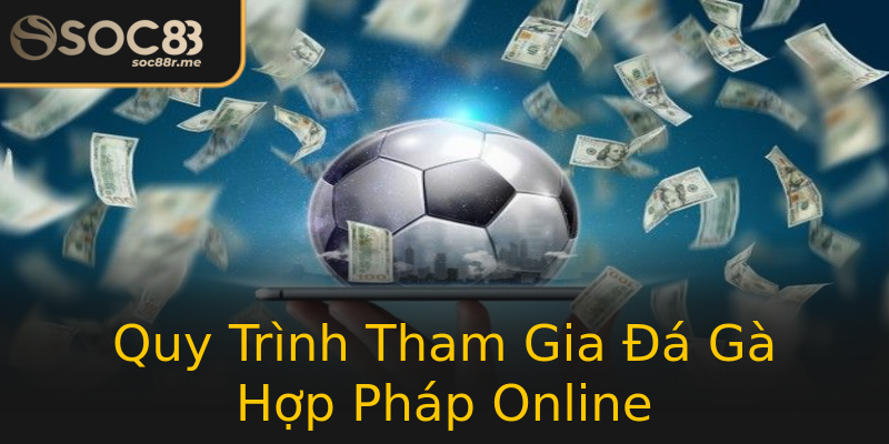 Quy Trình Tham Gia Đá Gà Hợp Pháp Online Quy Trình Tham Gia Đá Gà Hợp Pháp Online