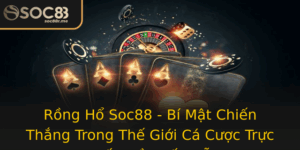 Rong Ho Soc88 Bi Mat Chien Thang Trong The Gioi Ca Cuoc Truc Tuyen Ay Hap Dan