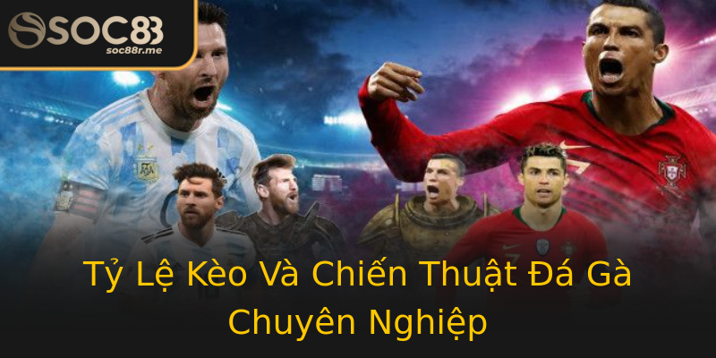 Tỷ Lệ Kèo Và Chiến Thuật Đá Gà Chuyên Nghiệp Tỷ Lệ Kèo Và Chiến Thuật Đá Gà Chuyên Nghiệp